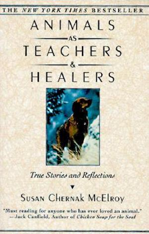 Animals as Teachers and Healers