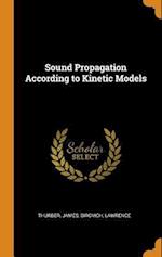 Sound Propagation According to Kinetic Models