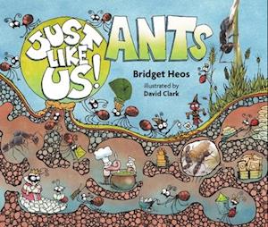 Just Like Us! Ants