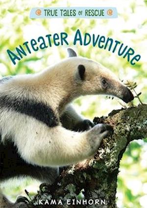 Anteater Adventure