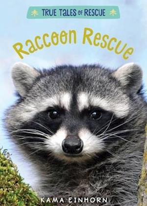 Raccoon Rescue