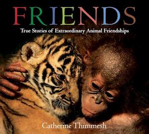 Friends (Board Book): True Stories of Extraordinary Animal Friendships