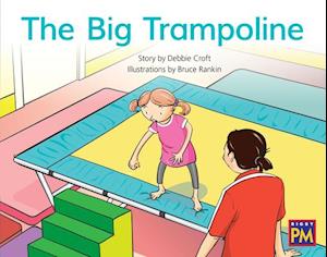 The Big Trampoline