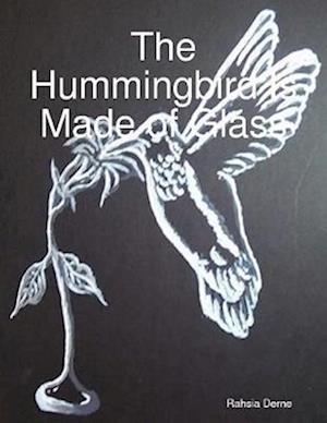 Hummingbird Is Made of Glass