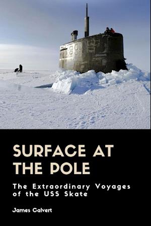 Surface at the Pole