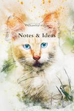 Notes & Ideas