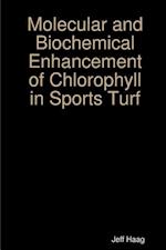 Molecular and Biochemical Enhancement of Chlorophyll in Sports Turf