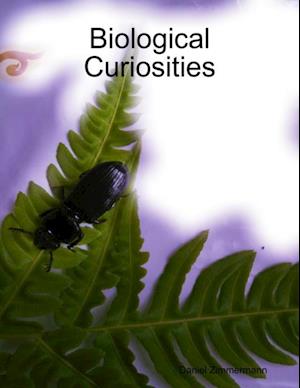 Biological Curiosities