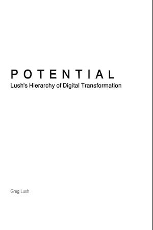 Potential | Lush's Hierarchy of Digital Transformation