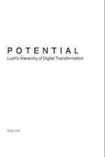 Potential | Lush's Hierarchy of Digital Transformation 