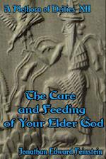 The Care and Feeding of Your Elder God