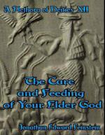 Plethora of Deities Xii: The Care and Feeding of Your Elder God