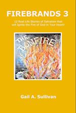 FIREBRANDS 3 ~ 12 Real Life Stories of Salvation that will Ignite the Fire of God in Your Heart! 