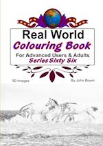 Real World Colouring Books Series 66