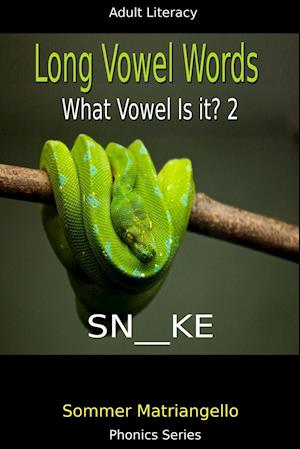 Long Vowel Words