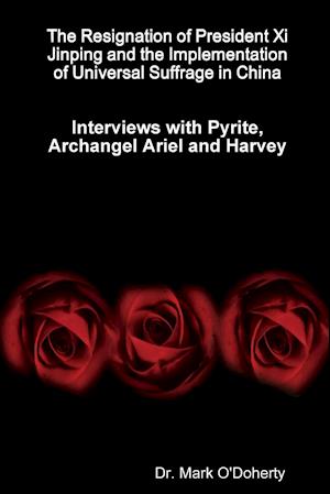 The Resignation of President Xi Jinping and the Implementation of Universal Suffrage in China - Interviews with Pyrite, Archangel Ariel and Harvey