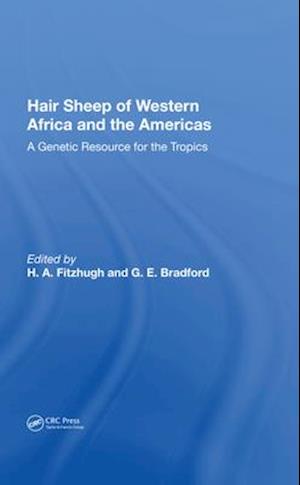 Hair Sheep Of Western Africa And The Americas