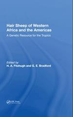 Hair Sheep Of Western Africa And The Americas
