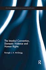 The Istanbul Convention, Domestic Violence and Human Rights