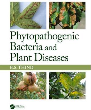 Phytopathogenic Bacteria and Plant Diseases