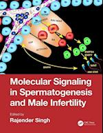 Molecular Signaling in Spermatogenesis and Male Infertility