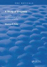 A Study of Enzymes