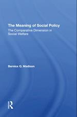The Meaning Of Social Policy