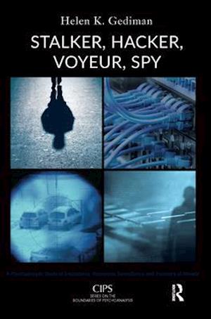 Stalker, Hacker, Voyeur, Spy