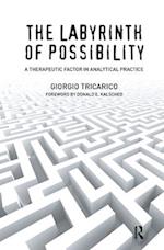 The Labyrinth of Possibility