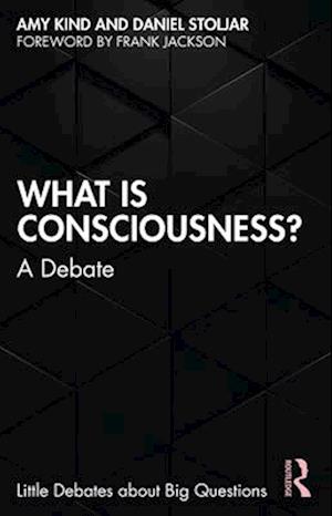 What is Consciousness?