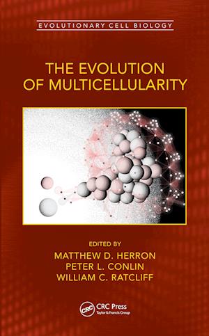 The Evolution of Multicellularity