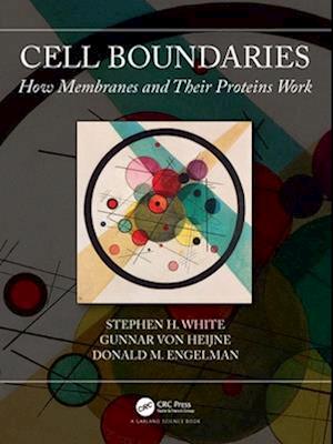 Cell Boundaries