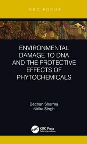 Environmental Damage to DNA and the Protective Effects of Phytochemicals