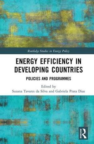 Energy Efficiency in Developing Countries