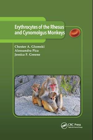 Erythrocytes of the Rhesus and Cynomolgus Monkeys