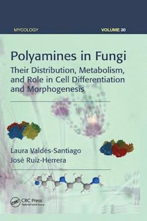 Polyamines in Fungi