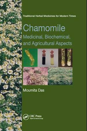 Chamomile