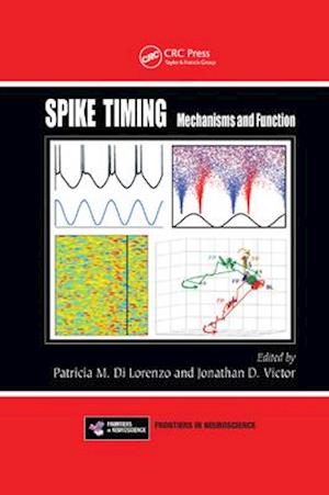 Spike Timing