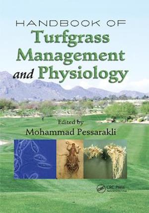 Handbook of Turfgrass Management and Physiology