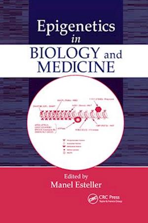 Epigenetics in Biology and Medicine