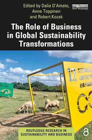 The Role of Business in Global Sustainability Transformations