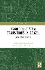 Agrifood System Transitions in Brazil