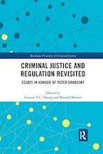 Criminal Justice and Regulation Revisited