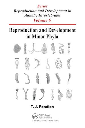 Reproduction and Development in Minor Phyla