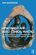 Attachment and Adult Clinical Practice