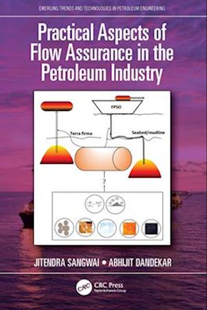 Practical Aspects of Flow Assurance in the Petroleum Industry