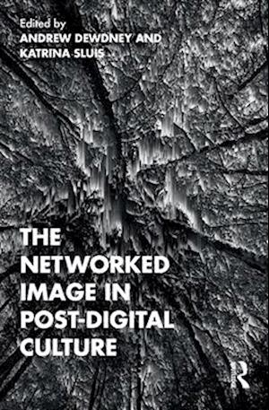 The Networked Image in Post-Digital Culture