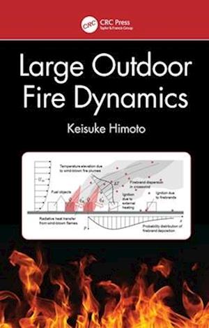 Large Outdoor Fire Dynamics