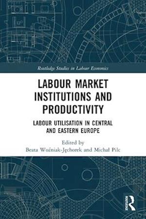 Labour Market Institutions and Productivity