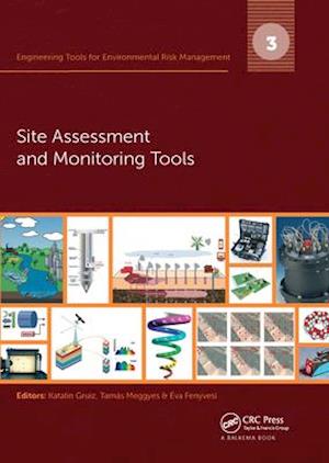 Engineering Tools for Environmental Risk Management